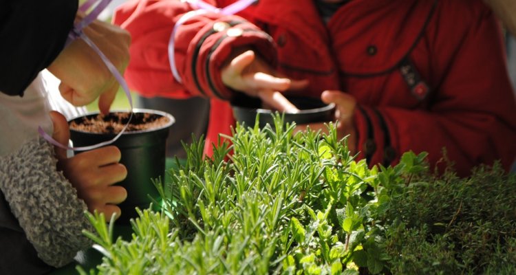 Atelier rempotage épicurium