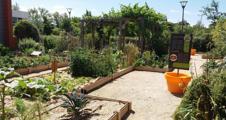 Potager épicurium Avignon