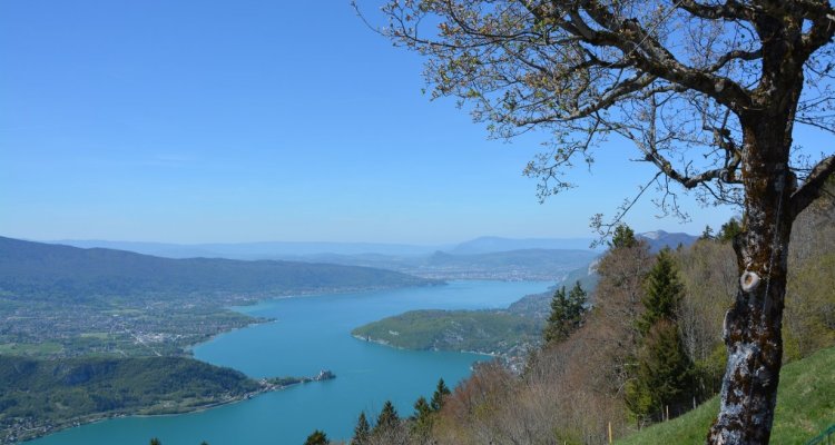 Lac d'Annecy