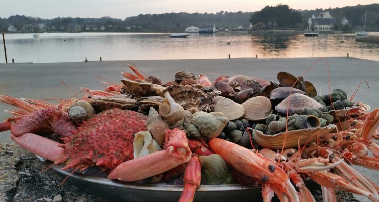 En Morbihan l'ostréiculture a un nom HUITRES HENRY