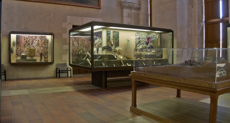 Musée d'Archéologie nationale saint germain en laye