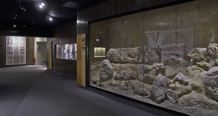 Musée d'Archéologie nationale le Paléolithique