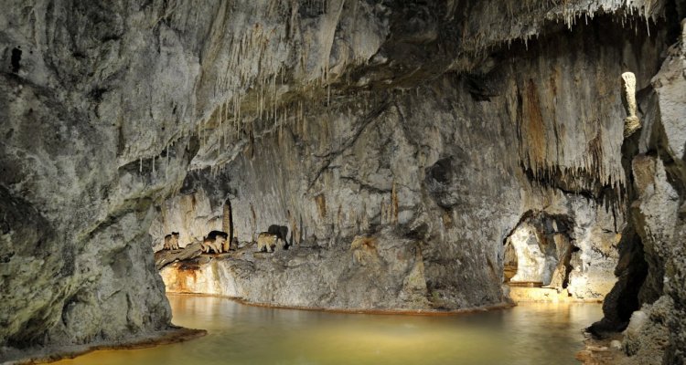 Fontaines pétrifiantes la grotte