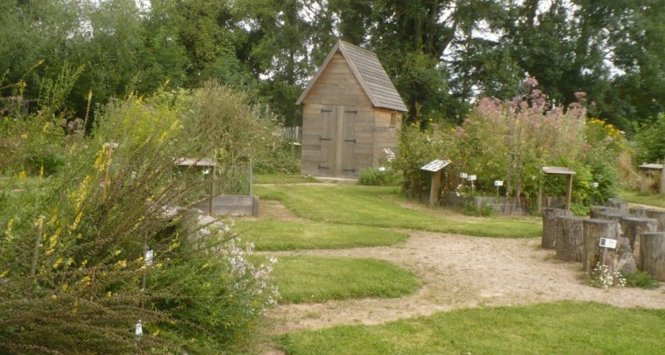 Jardin des herbes sauvages