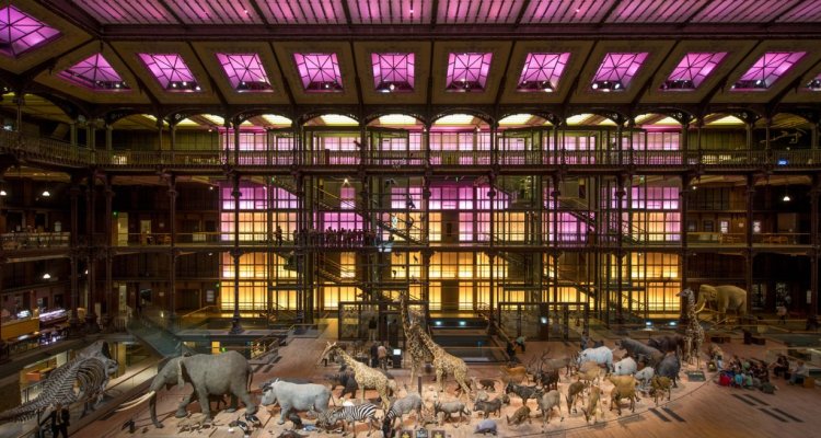 La Grande Galerie de l'Evolution - Paris