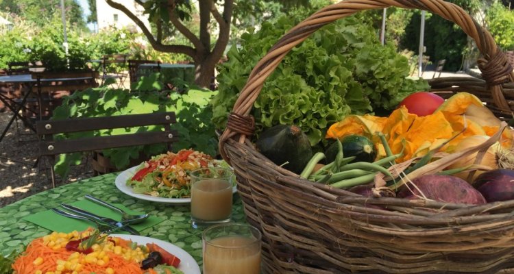 Gastronomie Chateau du rivau