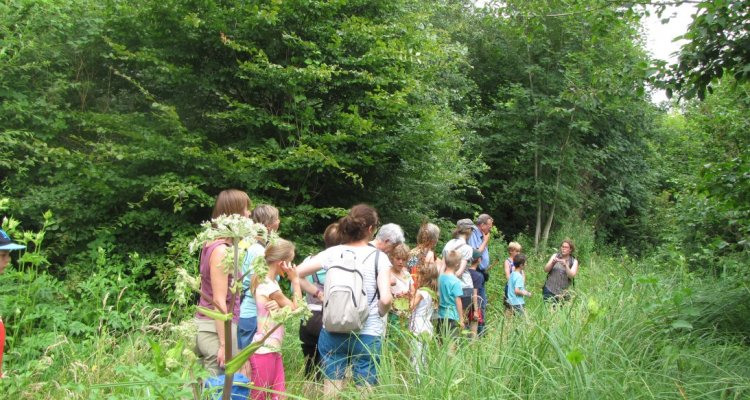 Balade à travers les étangs de la Barette à Corbie