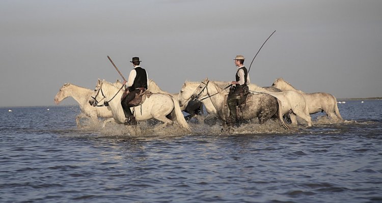 Camargue autrement