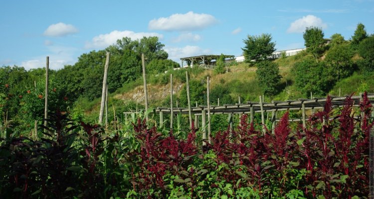 Découvrir Le Jardin pour la Terre