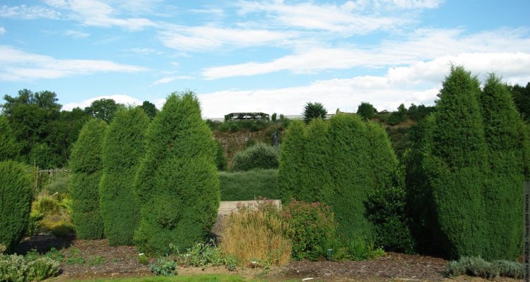 Visiter Le Jardin pour la Terre