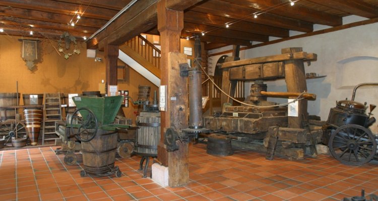 Tourisme Musée du Vignoble et des vins d'Alsace