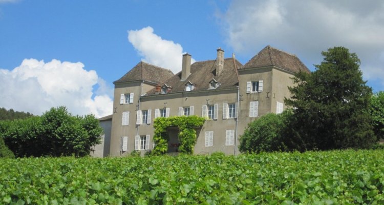 Château de La Greffière