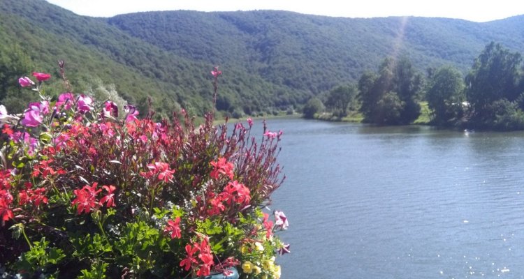 Les P'tits Bateaux ardennes