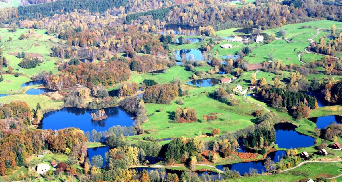Etangs vue d'avion haute-saône