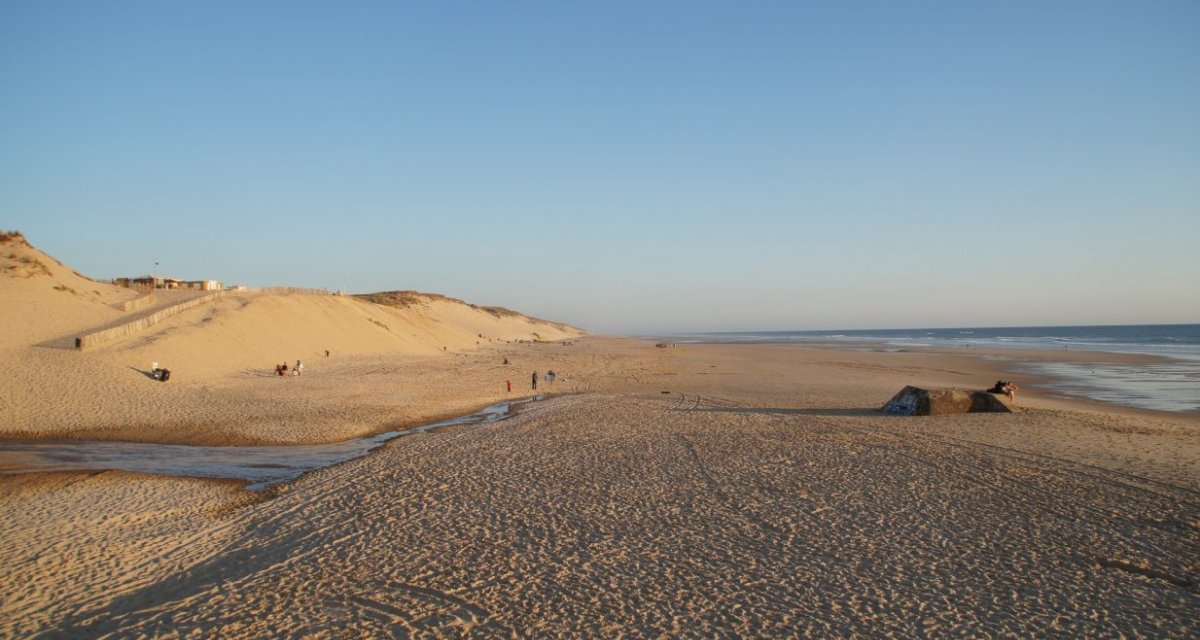 Le Pin sec Biscarrosse