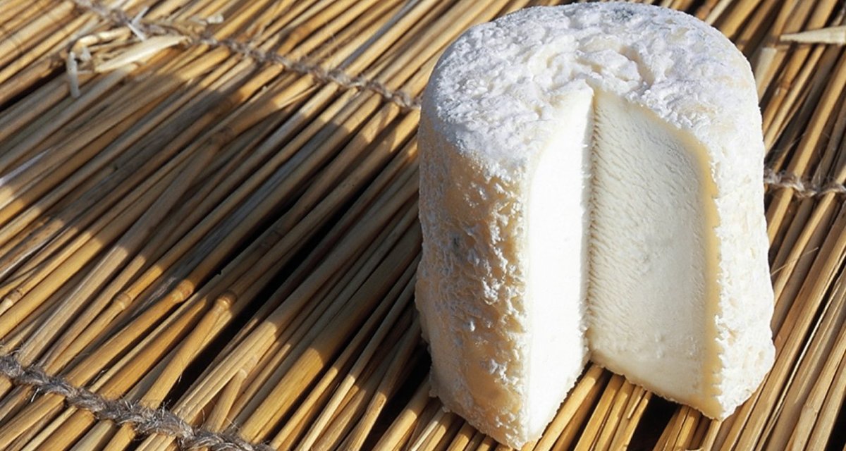 Chabichou spécialité deux-sèvres