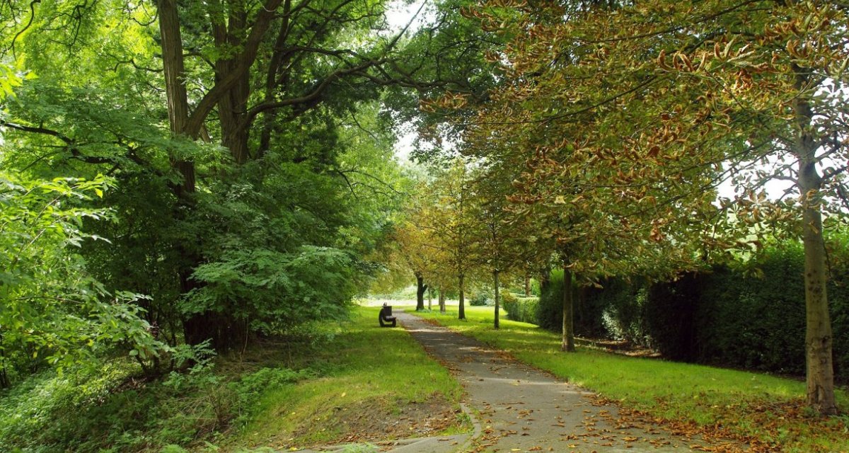 Parc lille
