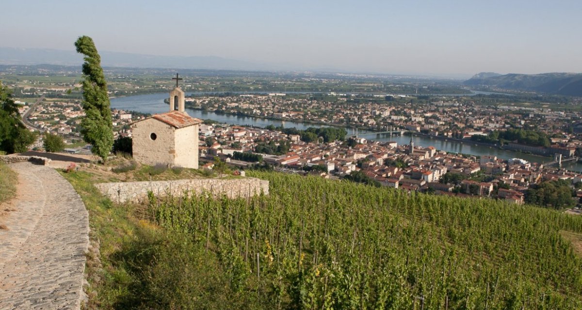 Vignoble Tain l'hermitage