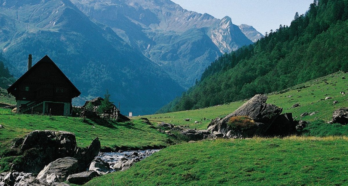 Vallée d'Ossau gave du brousset