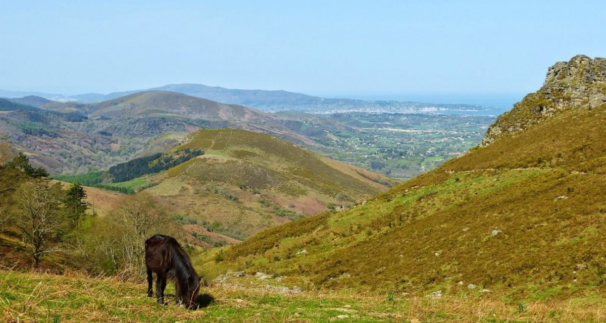 Paysage pyrénées Béarn
