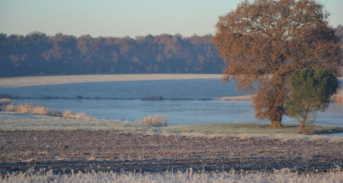 Paysage nature Indre