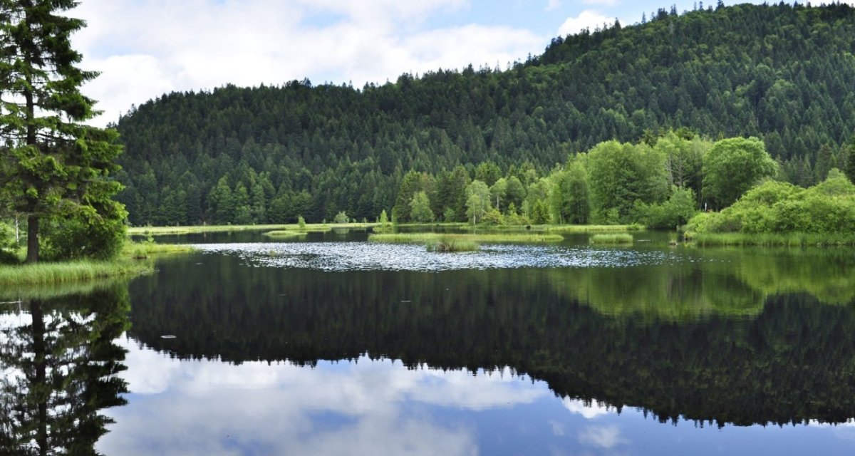 Lac vosges