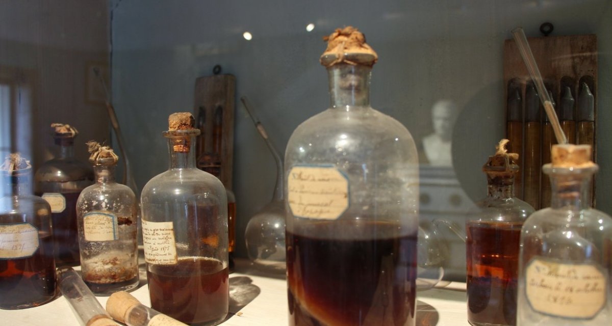 Maison Pasteur à Arbois