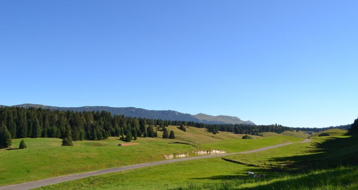 Paysage des Hautes-Combes