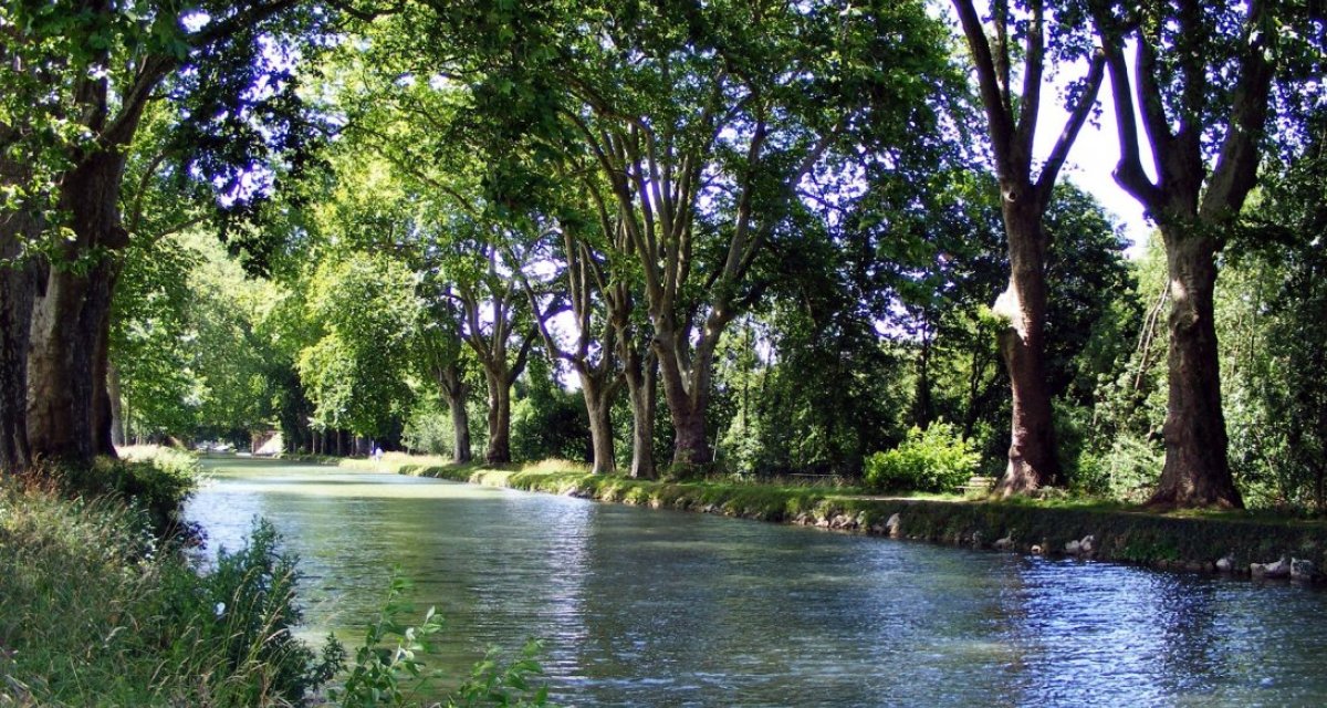 Rivière doubs arbres
