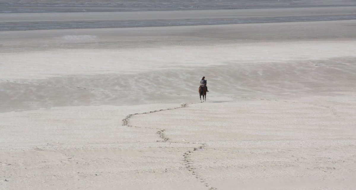 Balade baie de somme