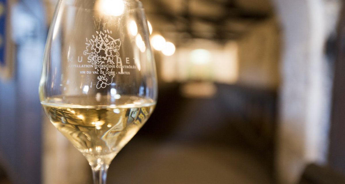 Muscadet tourisme loire-atlantique
