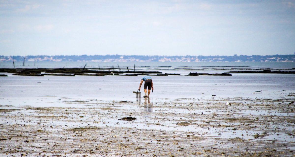 Pêche à la main vendée
