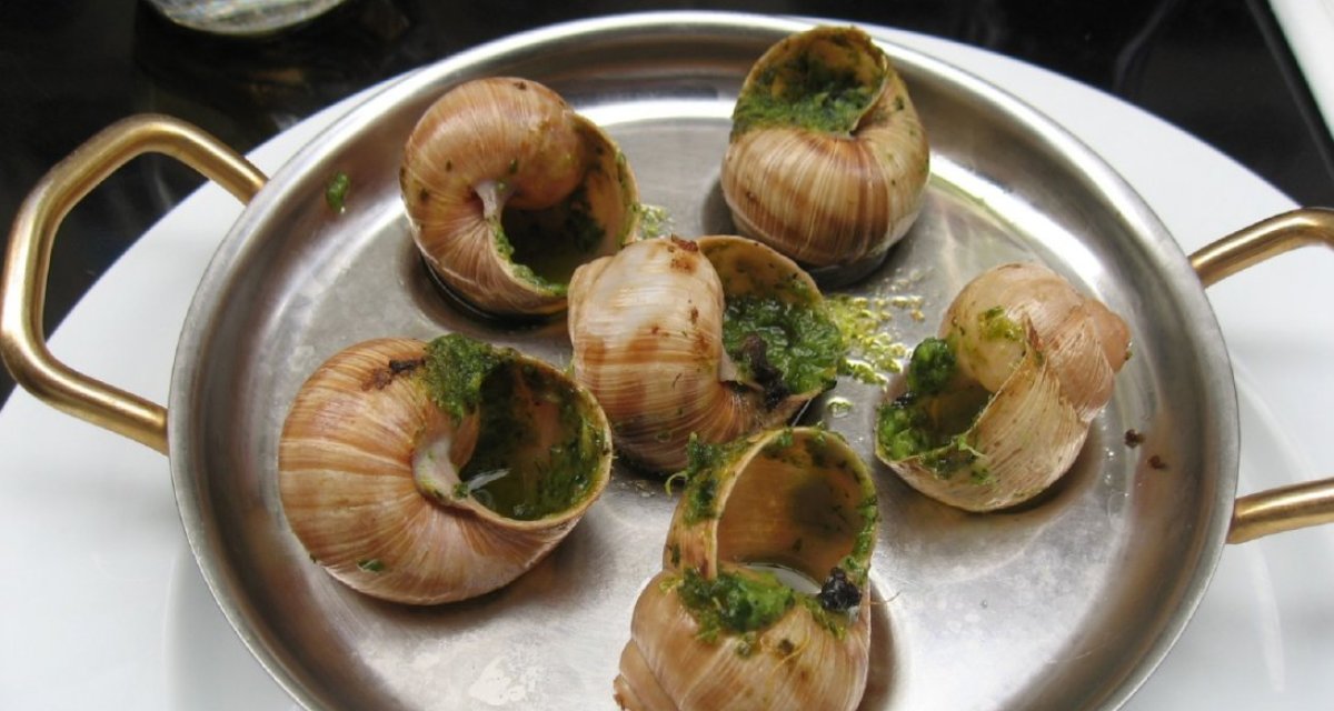 Escargots de Bourgogne Yonne tourisme