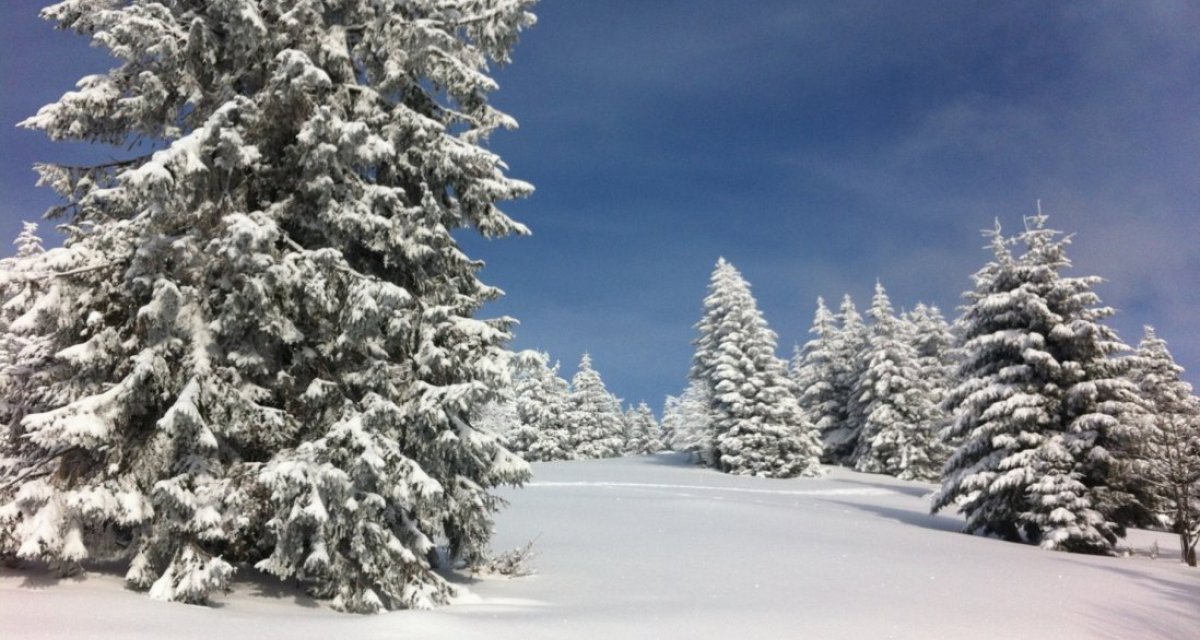 Hiver alsace neige
