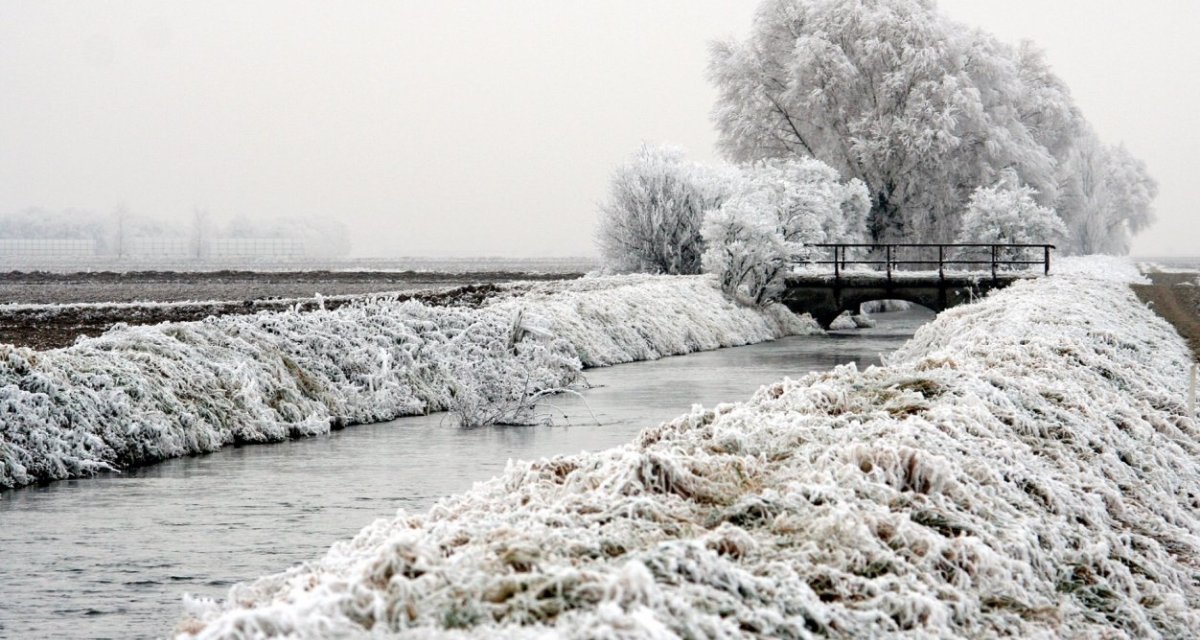 Paysage hiver haut-rgin alsace