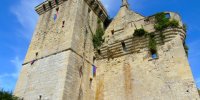 Donjon du Houssoy
