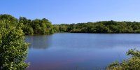 Etang de la Benette à Senonches