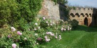 Château de Caumont Visiter