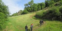 randonnée dans les coteaux du layon