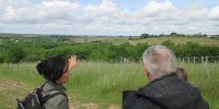 randonnée découverte du vignoble de Chaume