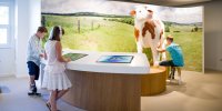 l'univers du lait et des vaches musée Caprice des Dieux