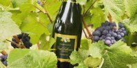 Brut Tradition - Champagne Pascal Lallement