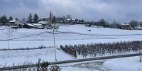 vignes sous la neige vin du tsar thézac