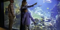 Lagon sous marin famille Nausicaa