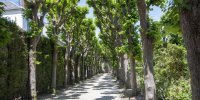 Jardin bossuet visite