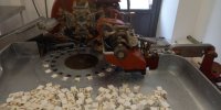 Notre Papilloteuse datant de 1956, toujours en activité