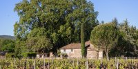 Le Domaine La Gayolle, veillé par ses trois platanes quadri-centenaires.