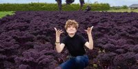 Champs de choux kale rouges dans la charmante ferme de Kerguelen St Pol de Léon