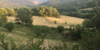 Visite de ferme - panorama