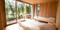 Chambre en forêt